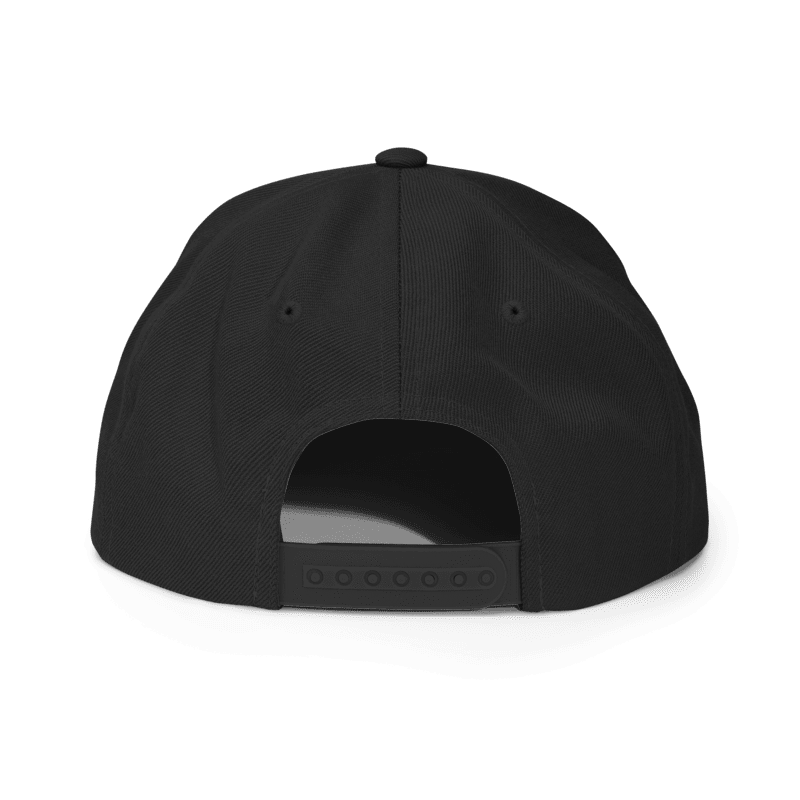 SNAPBACK